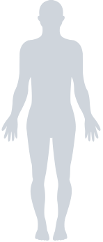 A silhouette of a person shown for scale