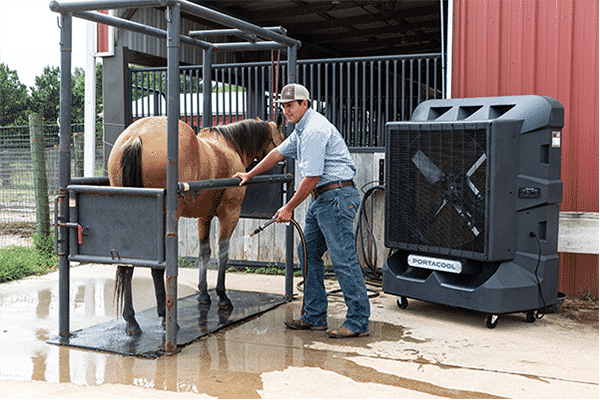 Person washing brown horse in metal stall; Portacool nearby on wet ground. Stable and equipment visible, showcasing agricultural life.