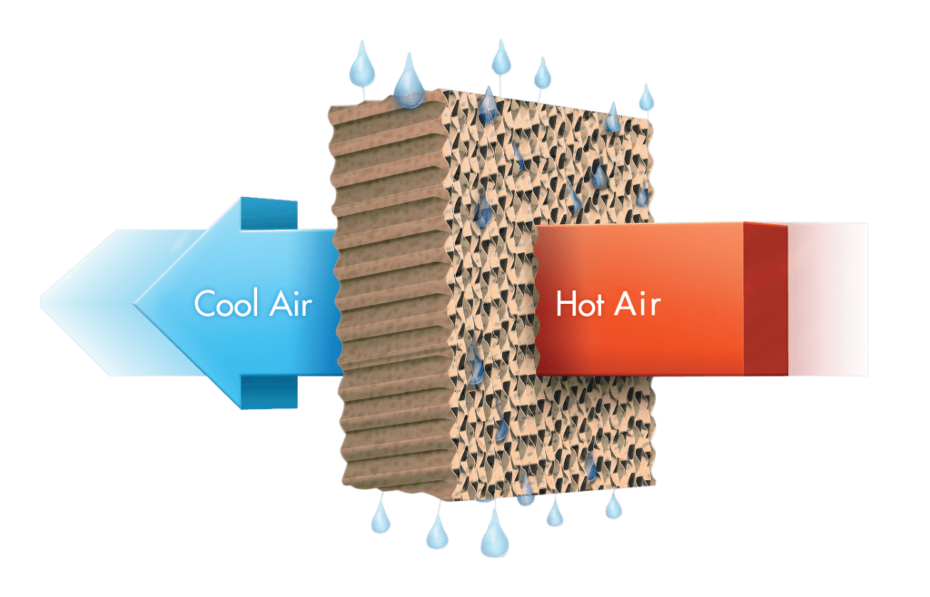 How does evaporative Cooling work? Diagram of evaporative cooling: Hot air passes through a water-coated panel, cooling. Blue arrow indicates cool air, red shows hot air. Iconic swamp cooler process.
