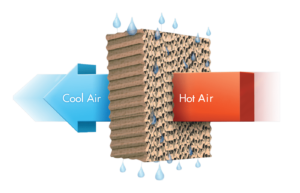 how evaporative media works illustration explaining do swamp coolers actually cool 