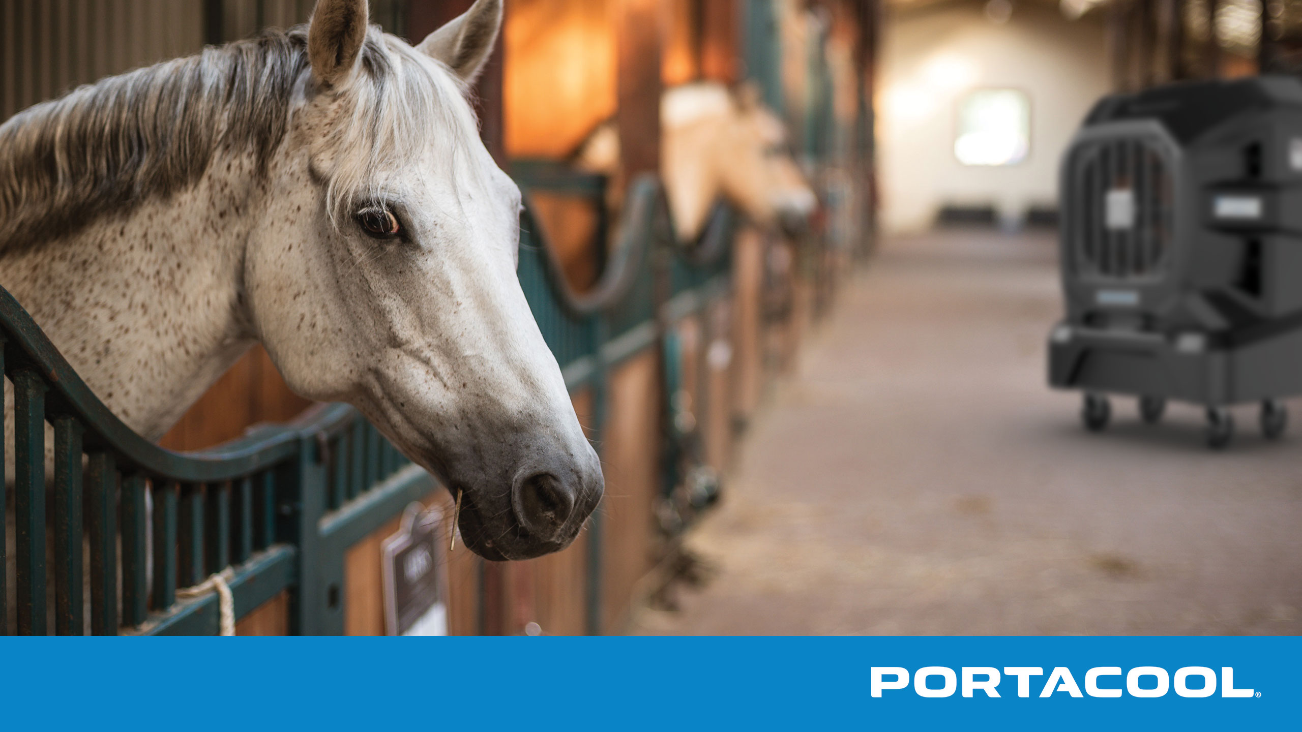 A horse being kept cool in a stable by a Portacool evaporative cooler.