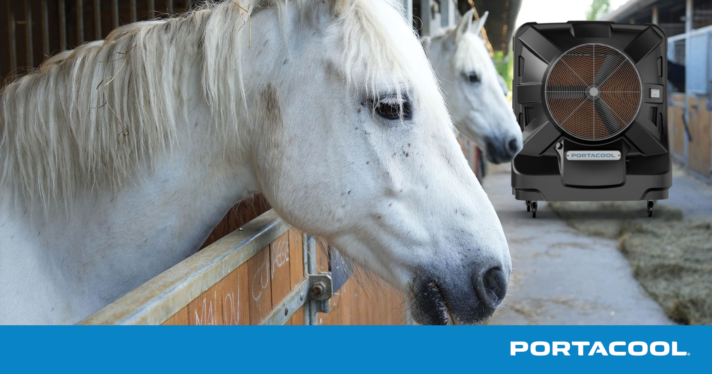 Horses in a stable being kept at safe temperatures by a Portacool evaporative cooler.